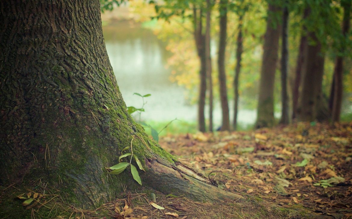 Woche 7 – Kindfreie zeit